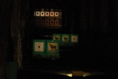 Bruenig_Indoor_23